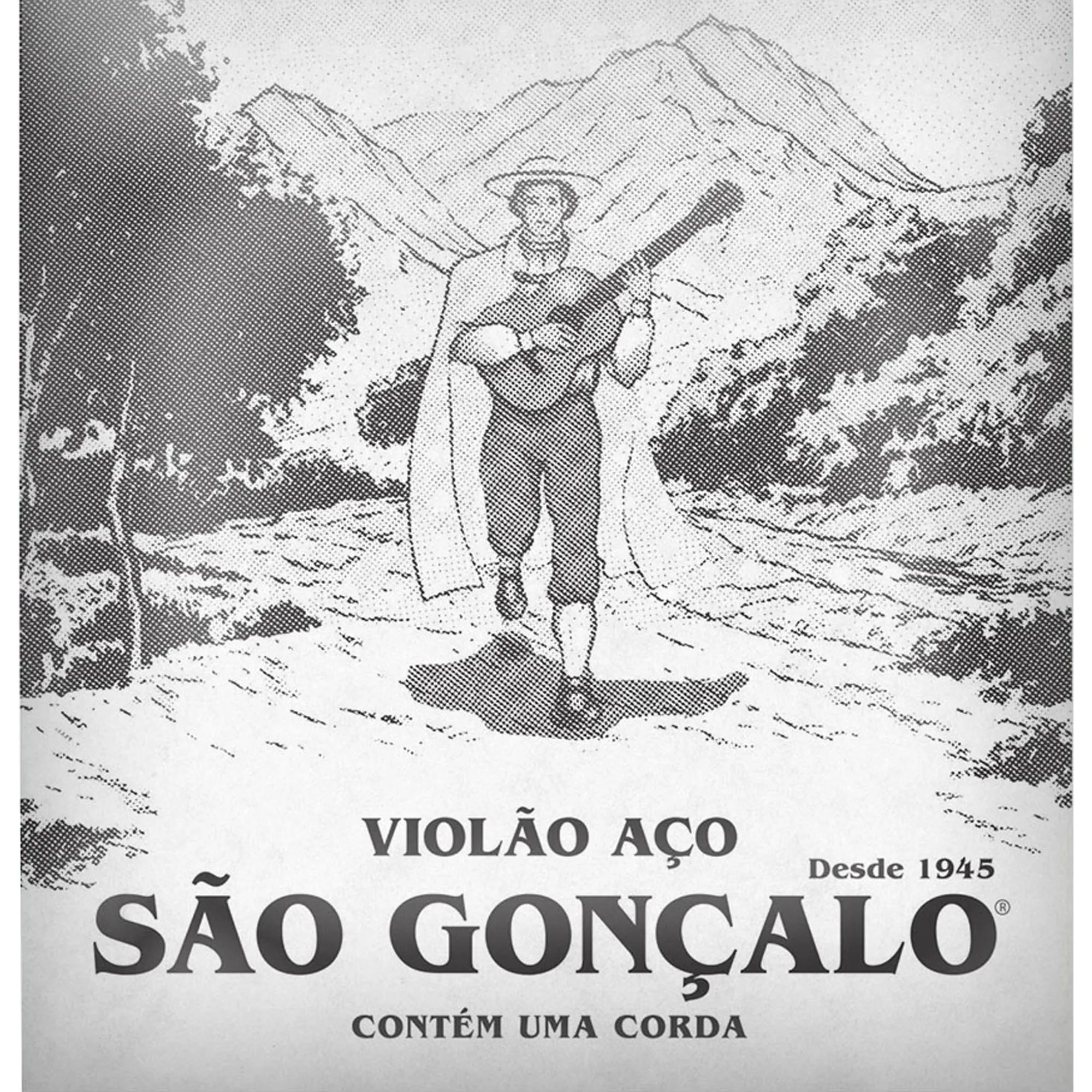 2A CORDA (SI) AVULSA P/ VIOLÃO AÇO SG C/ BOLINHA
